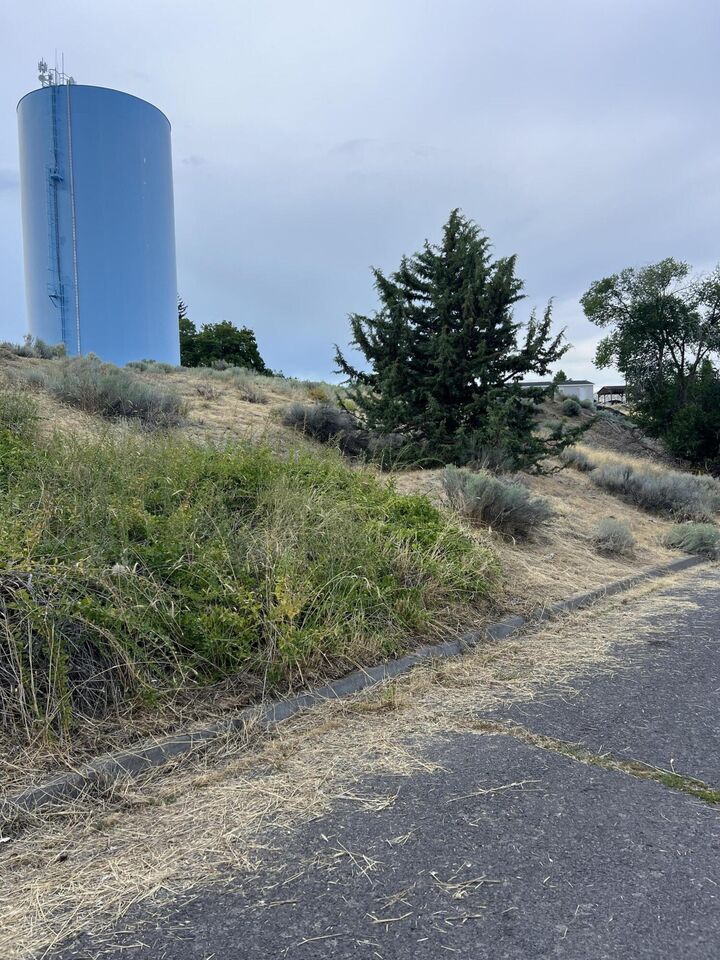 Property Photo:  0 Academy Avenue Lot 3 &Amp 4  OR 97601 