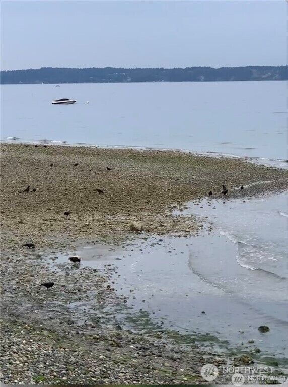 Property Photo:  29020  1st Avenue S 17  WA 98198 