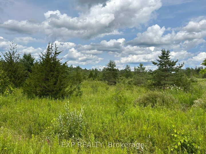 Property Photo:  1125 Wood Road  ON L0K 2E0 