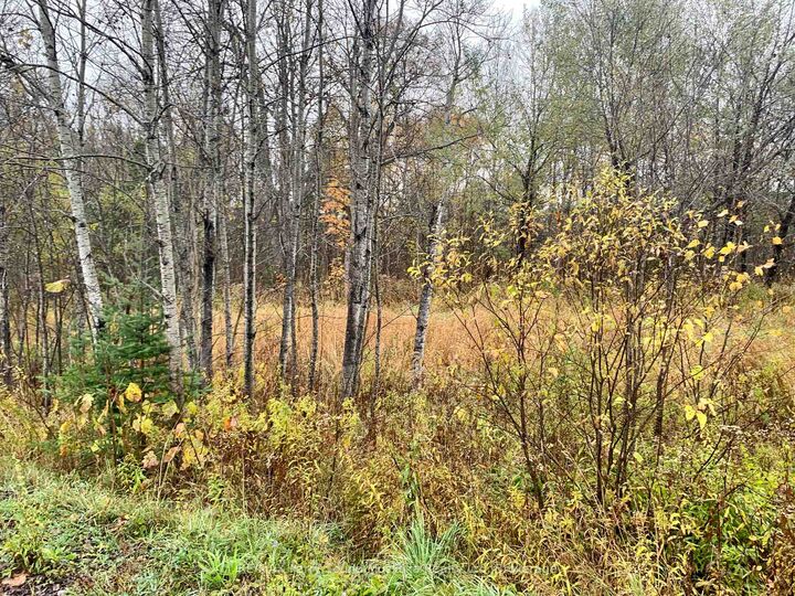 Property Photo:  Lot 1 Moore Drive  ON P0A 1G0 