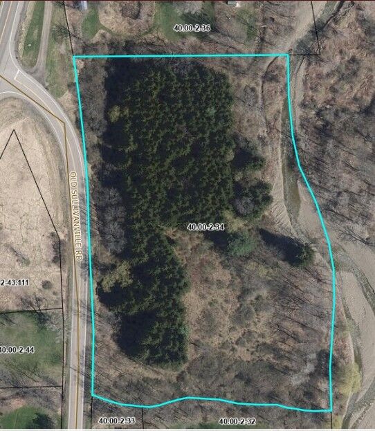 Property Photo: 0 Old Sullivanville Rd NY 14845