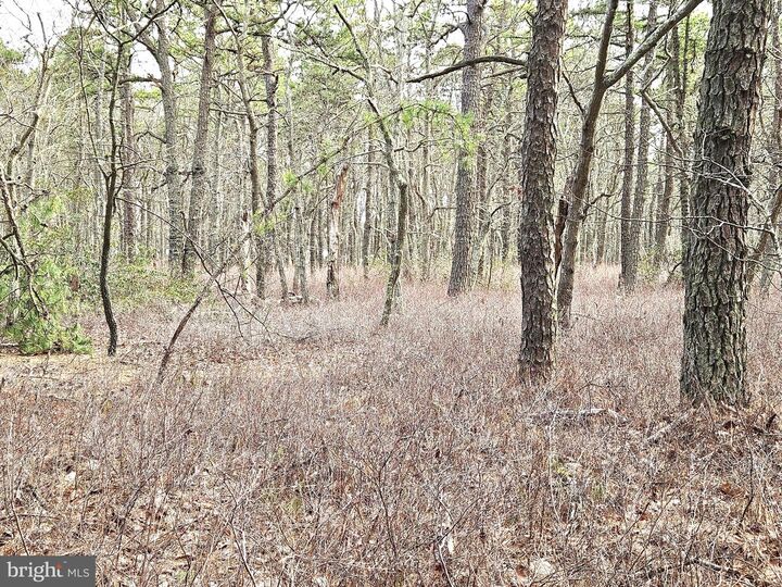 Property Photo:  0 Birchwood  NJ 08087 