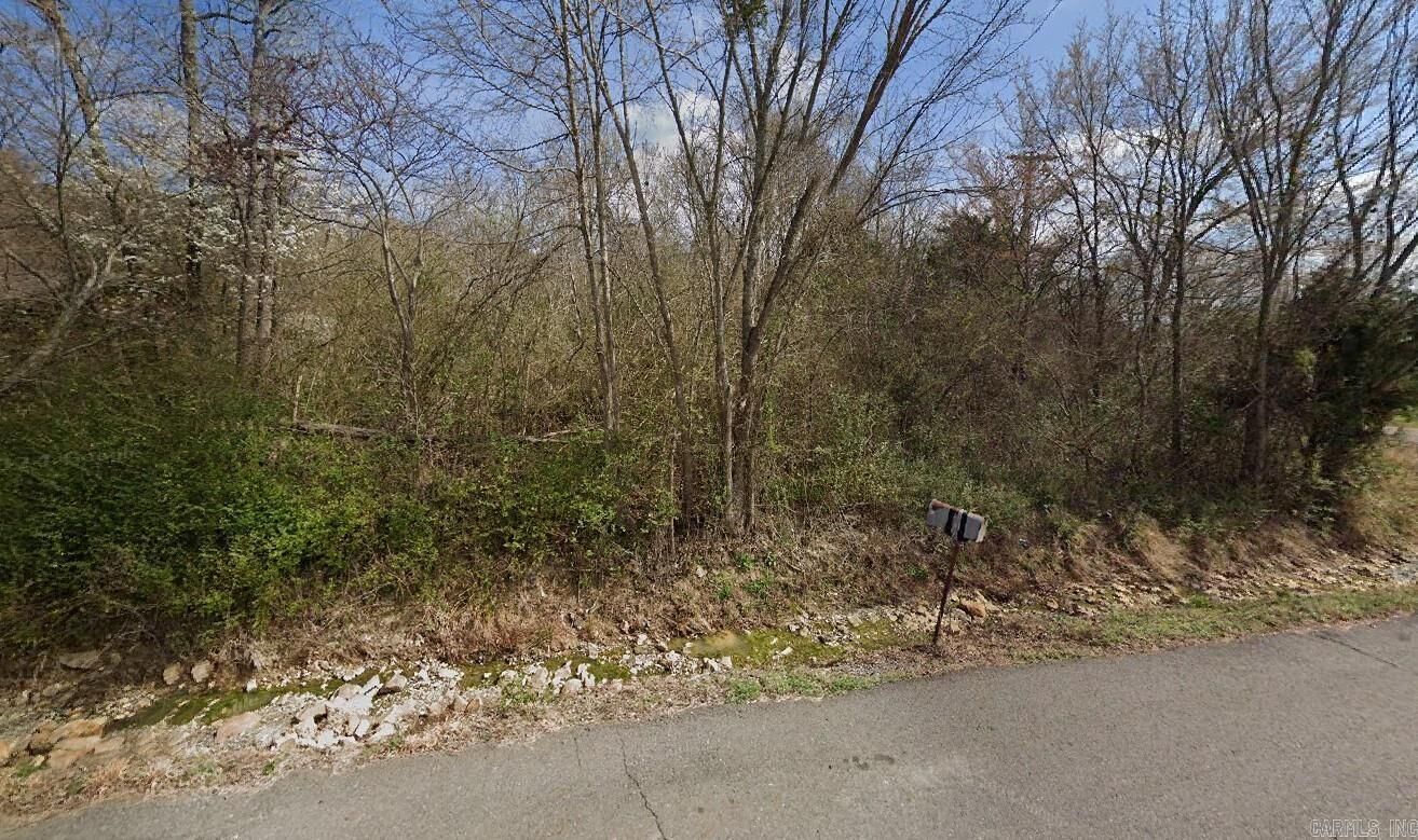 Property Photo:  310 N 2nd Street  AR 71953 