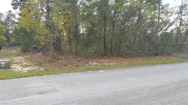 Property Photo:  3 Tall Marigolds Ct,  FL 34446 