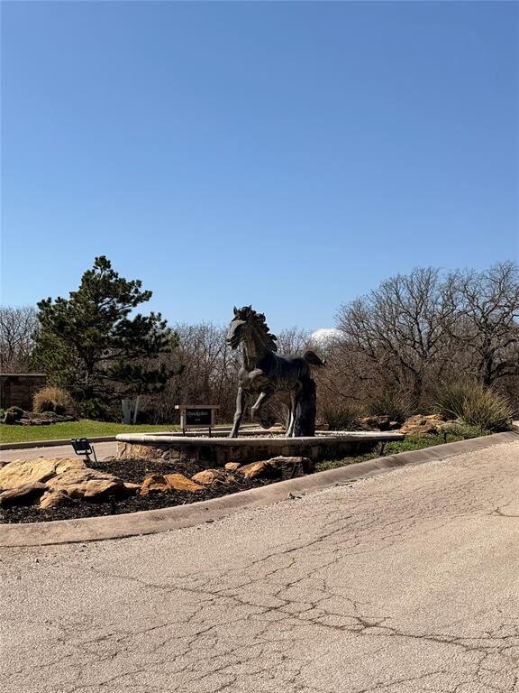 Property Photo:  0 Silverleaf Drive  TX 76270 