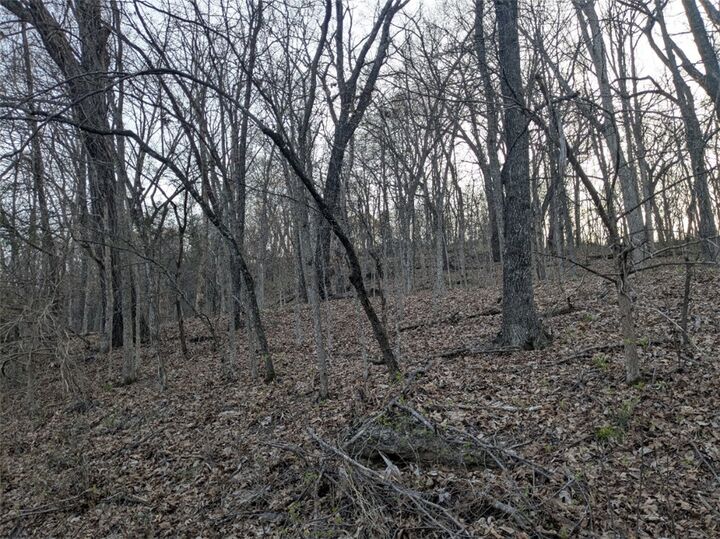 Property Photo:  Tbd Thunderbird Drive  AR 72631 