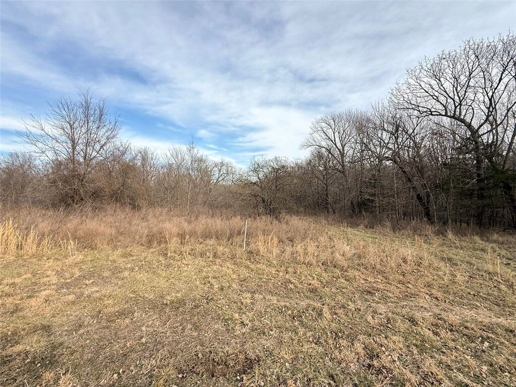 Property Photo:  Lot 1 Chalybeate Drive  AR 72768 