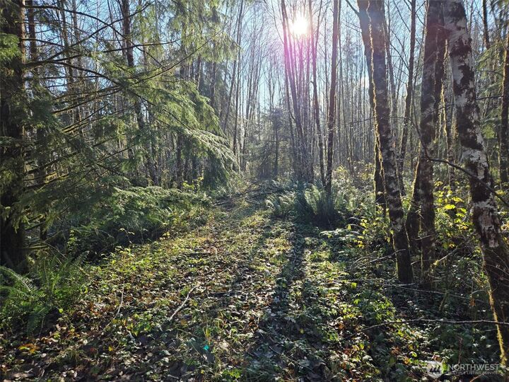 Property Photo: 0 Nka Fall River Road WA 98537