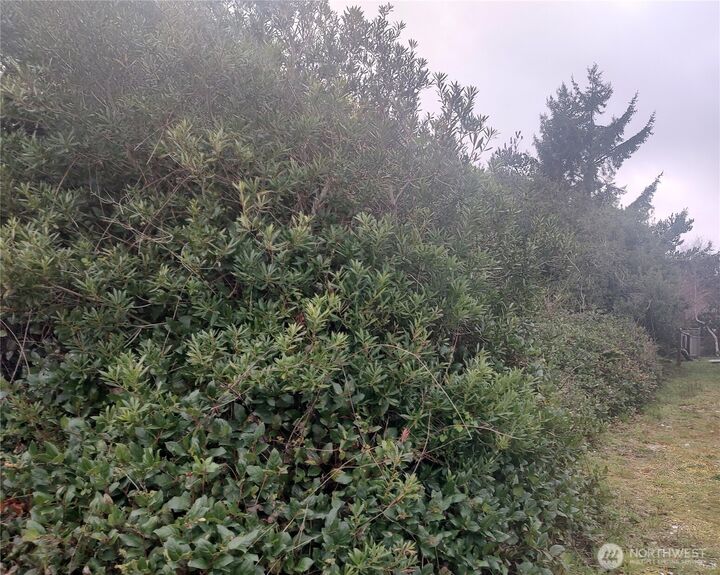 Property Photo: 601 Ocean Shores Boulevard SW WA 98569