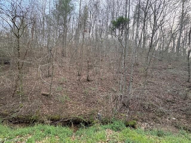 Property Photo:  Tbd N Marley Ford Road  NC 28624 