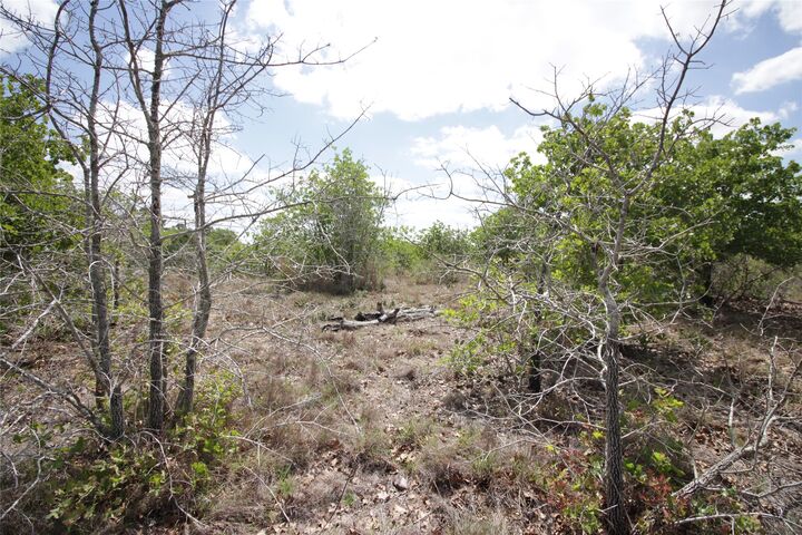 Property Photo: Tbd River Forest Drive TX 78602