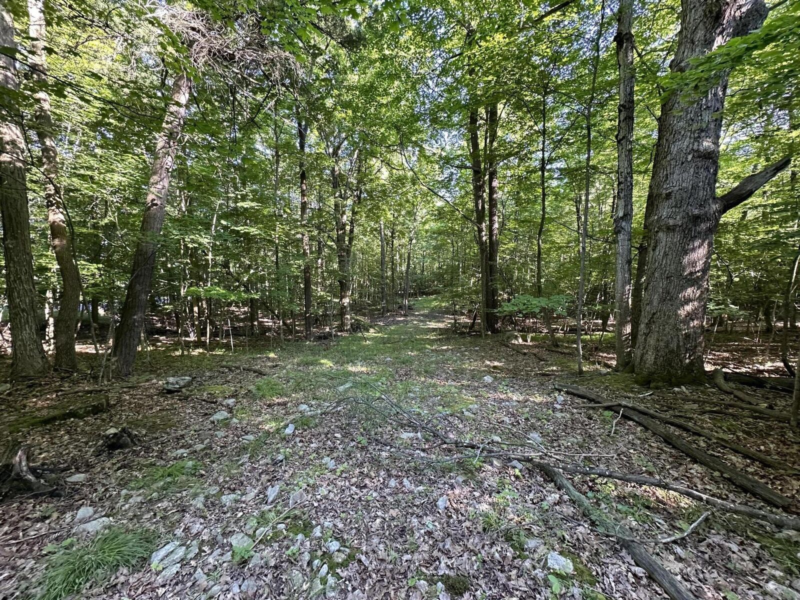 Property Photo:  0 Trembleau Road  NY 12944 