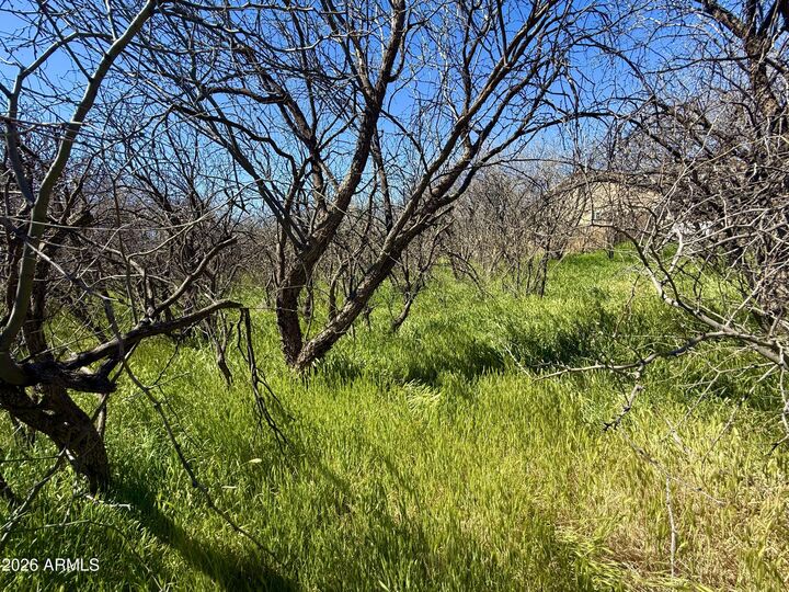 Property Photo:  5360 N Kramer Drive 425  AZ 86335 