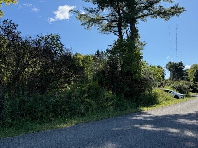 Property Photo: 54 Evelien Hill Road NY 13827