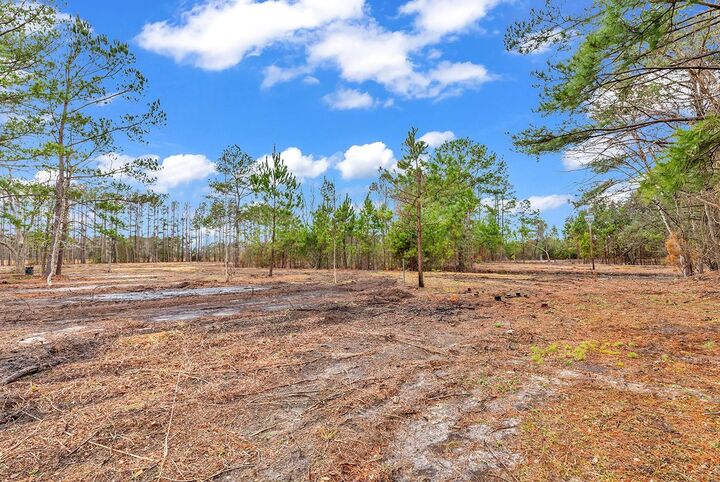 Property Photo:  3930 Red Bluff Rd.  SC 29569 