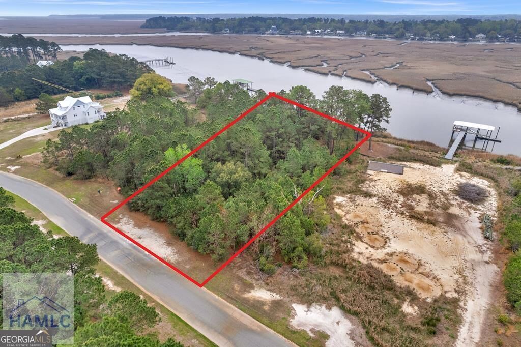 Property Photo:  Lot 29 Jerico Marsh Road  GA 31320 