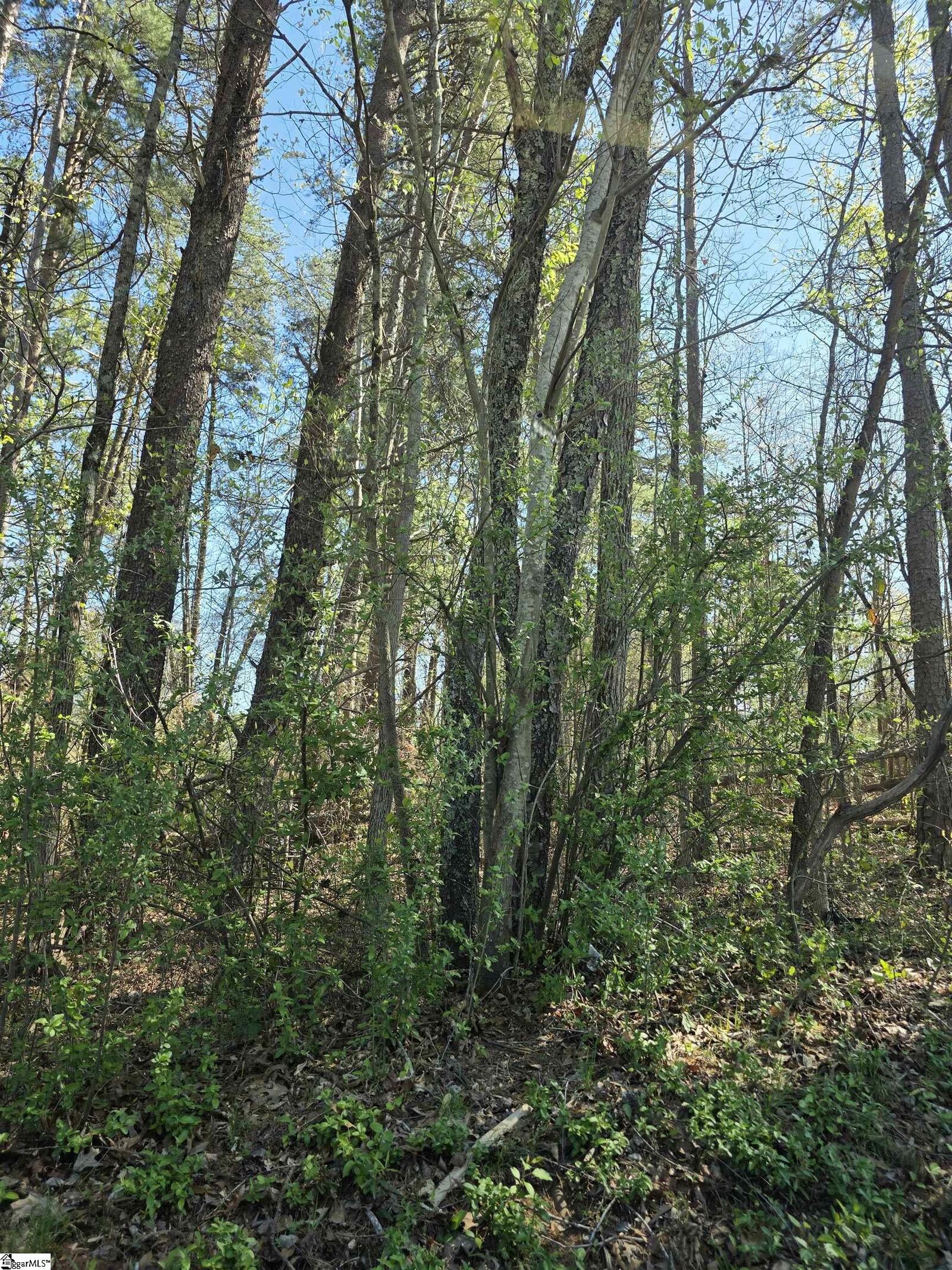 Property Photo:  102 Pine Drive  SC 29687 