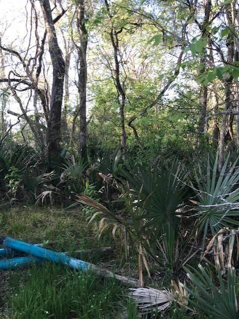 Property Photo:  0 E Live Oak Road  TX 77482 