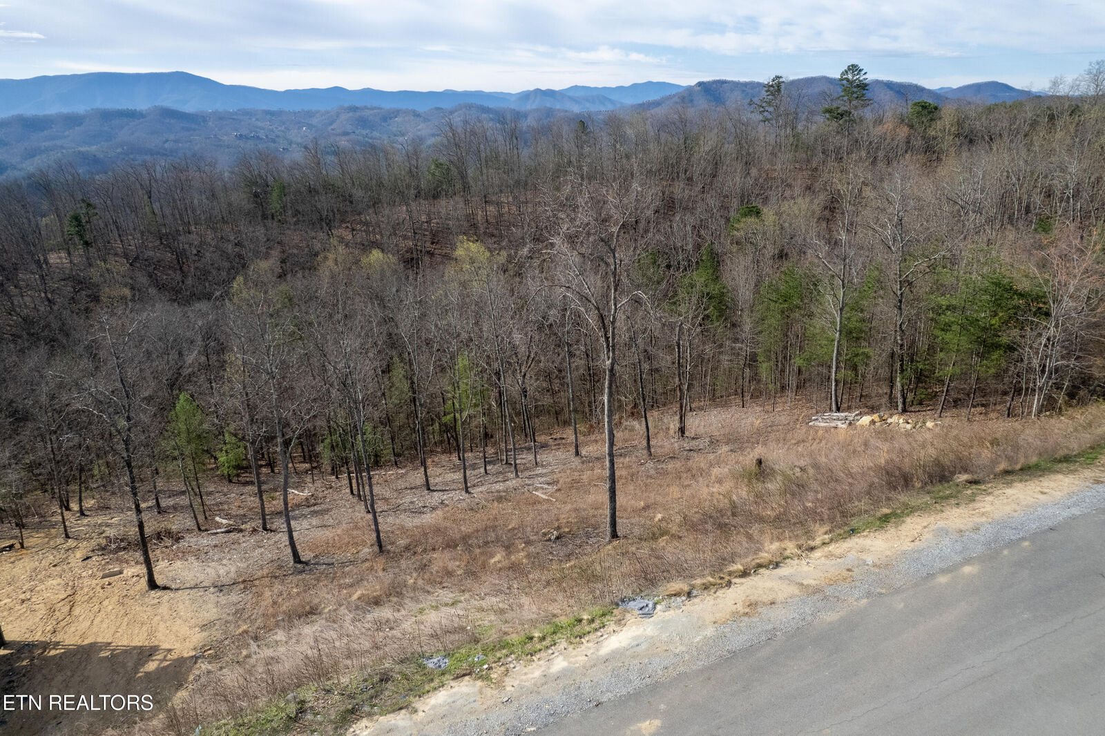 Property Photo:  Lot 102 Laurel Cove Tr  TN 37862 