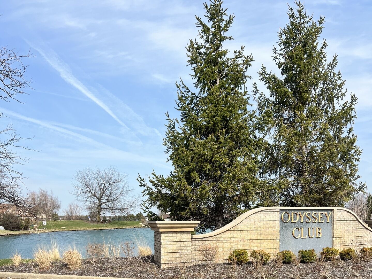 Property Photo: 123 Iliad Drive IL 60477