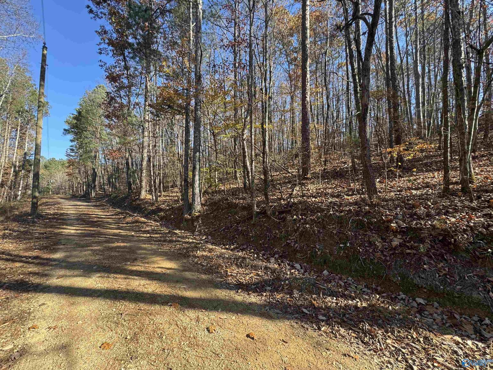 Property Photo: 28 Acres County Road 917 AL 35961