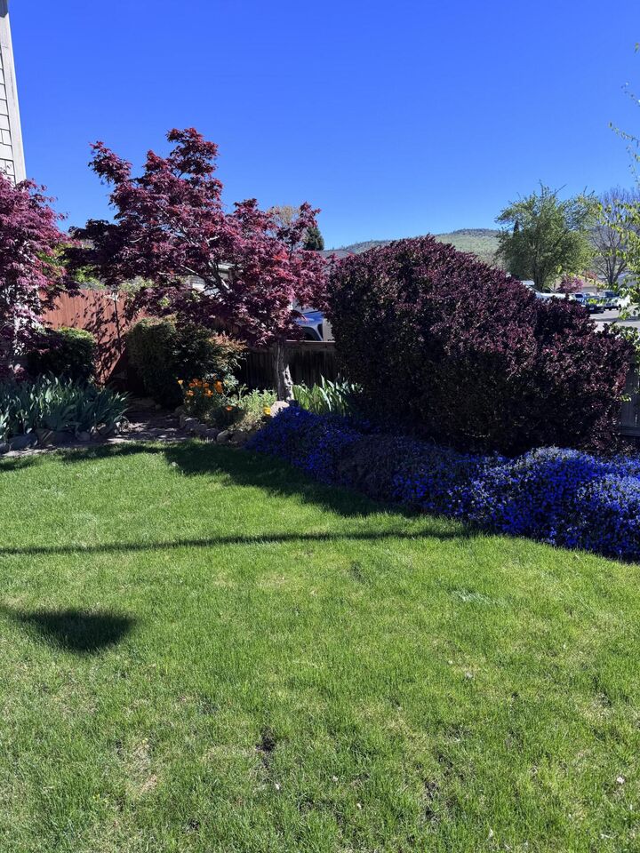 Property Photo:  3059 Sycamore Way  OR 97504 