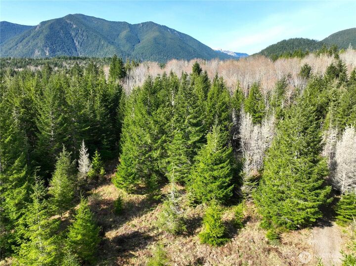 Property Photo: 71 Elkhorn Lane WA 98376