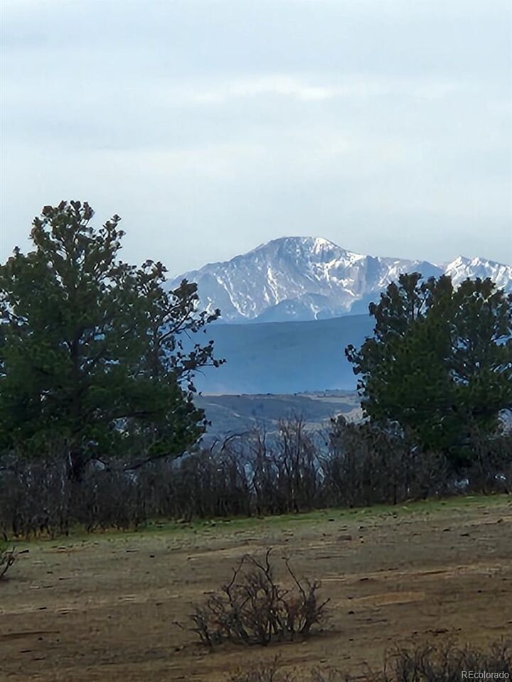 Property Photo: 164 Rockingham Circle CO 80108