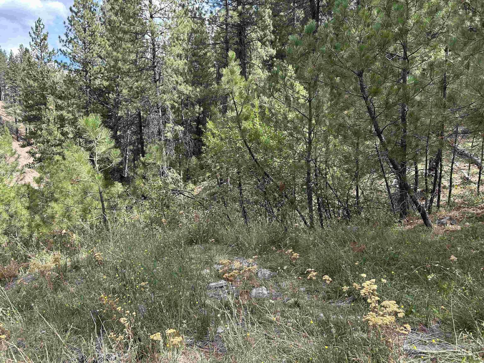 Property Photo:  8 Klondike Road  ID 83716 