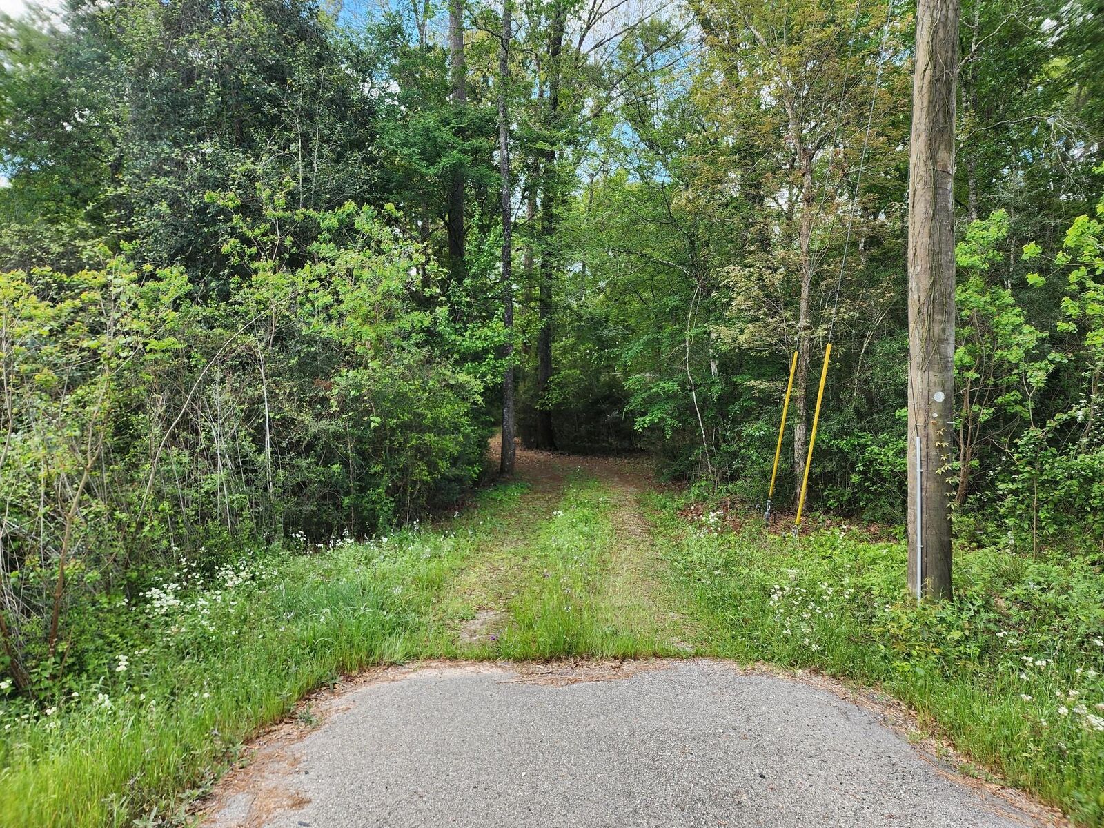 Property Photo:  27540 Fm 2090  TX 77372 