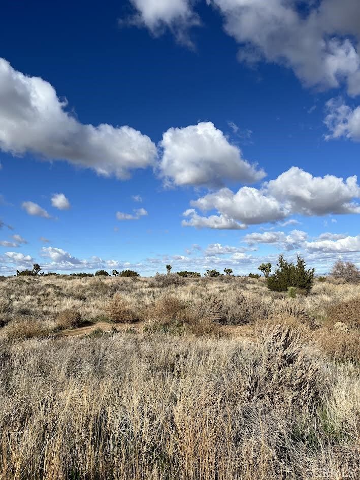 Property Photo:  3033 Arcadia  CA 92371 