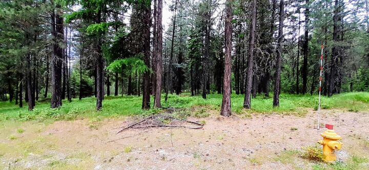 Property Photo:  4xx Couples Pl  WA 99109 