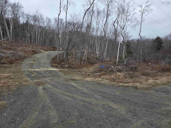 Property Photo:  Lot 2 239 Sissiboo Road  NS B0W 3T0 
