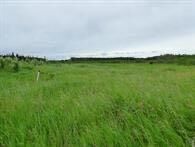 Property Photo: W4th-Rng14-Twp66-Sec 36, Hwy 881 Twp 670 AB T0A 2C0