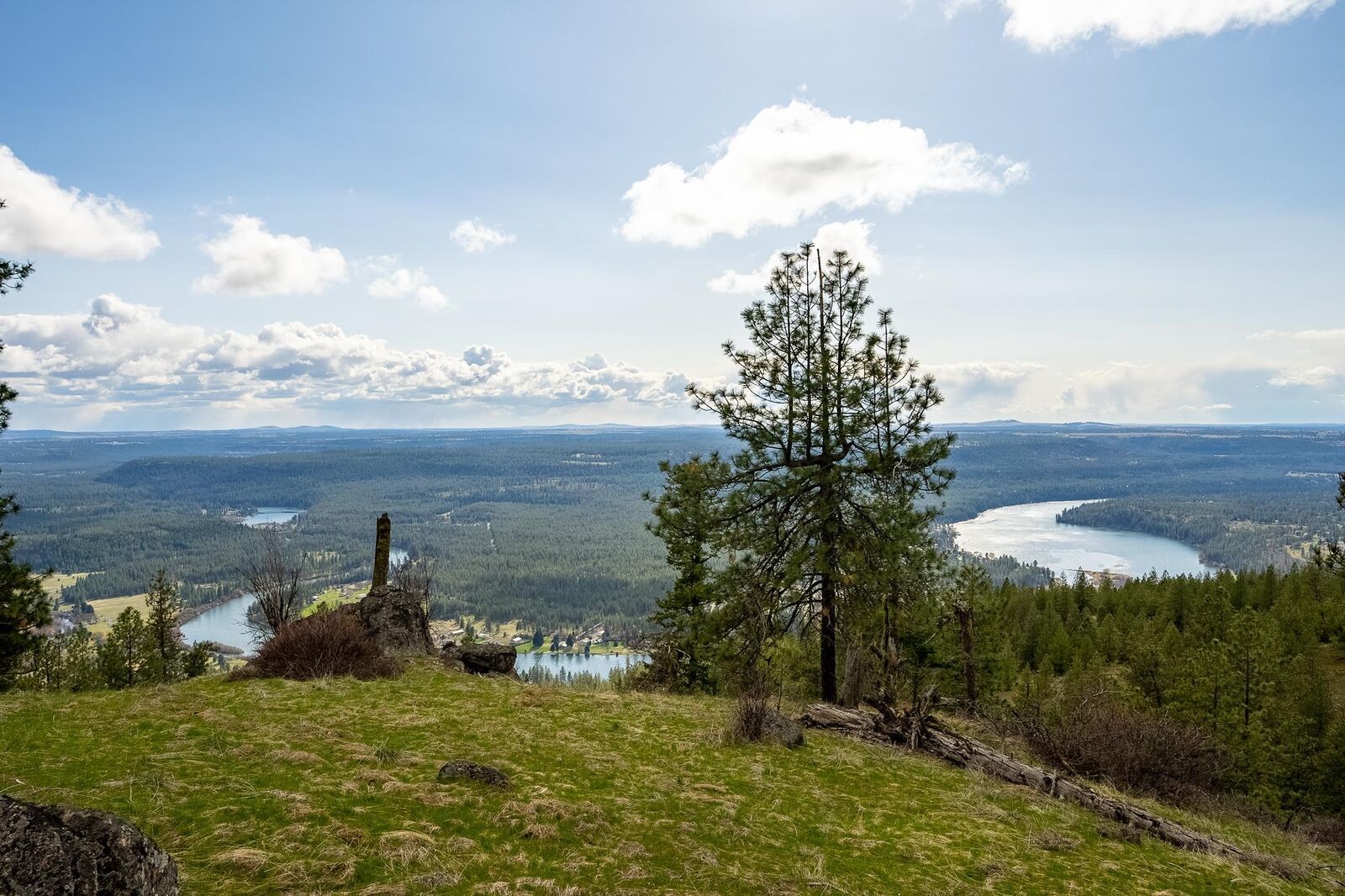 Property Photo:  16510 N Abigail Ln  WA 99208 