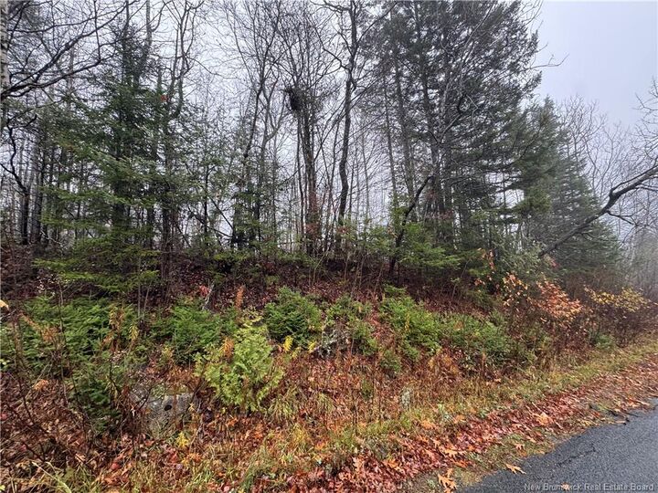 25-01 St. David Ridge Road — photo 1