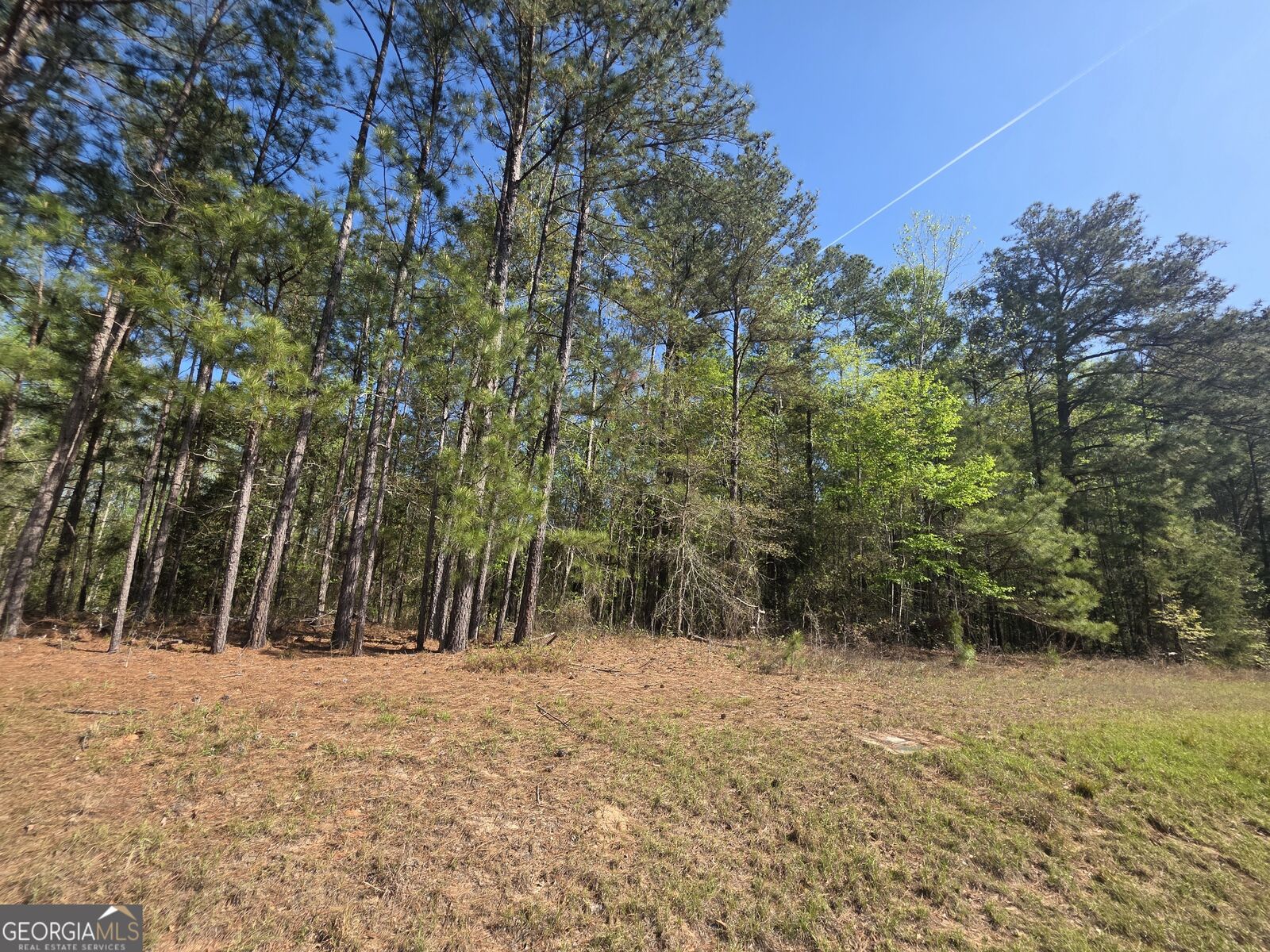 Property Photo:  Tract A Ga Highway 102  GA 30820 