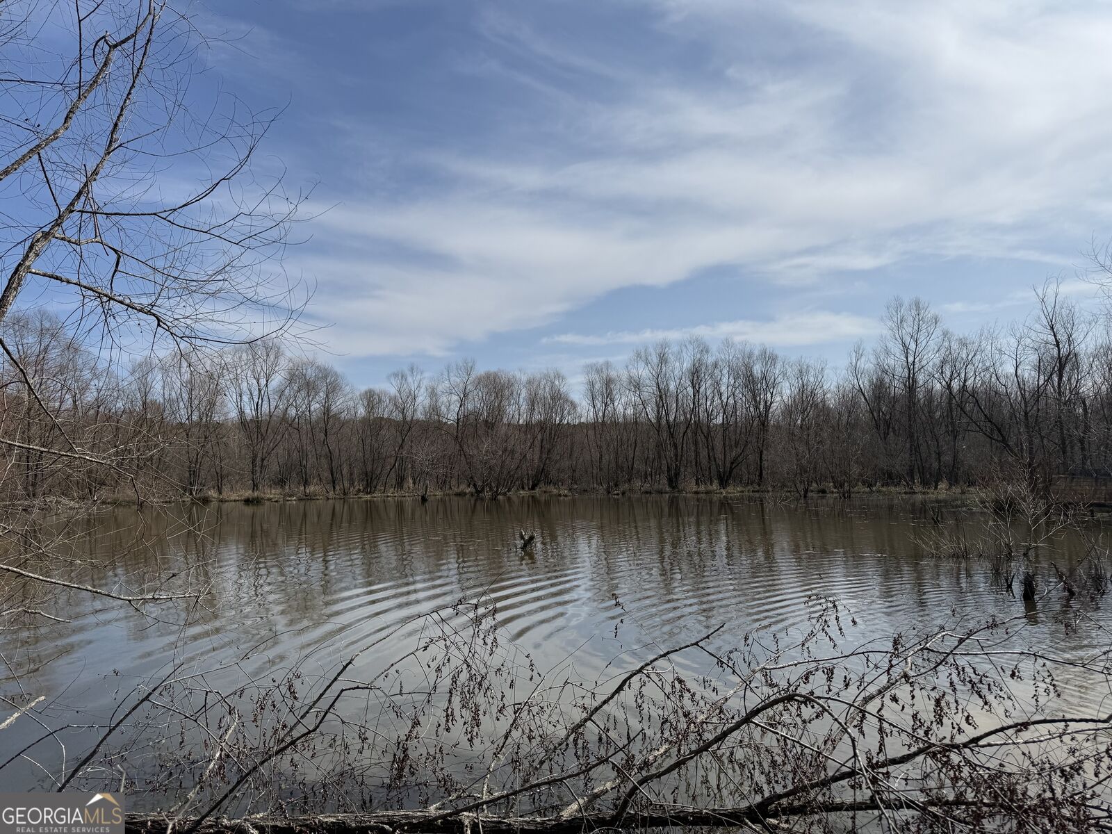 Property Photo:  0 Livingston Road  GA 30161 