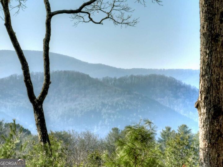 Property Photo:  1183 Bear Paw Trail  GA 30513 