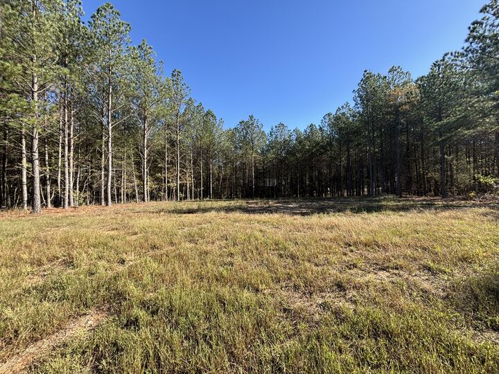 Property Photo:  0 Boone Pass  TN 37347 