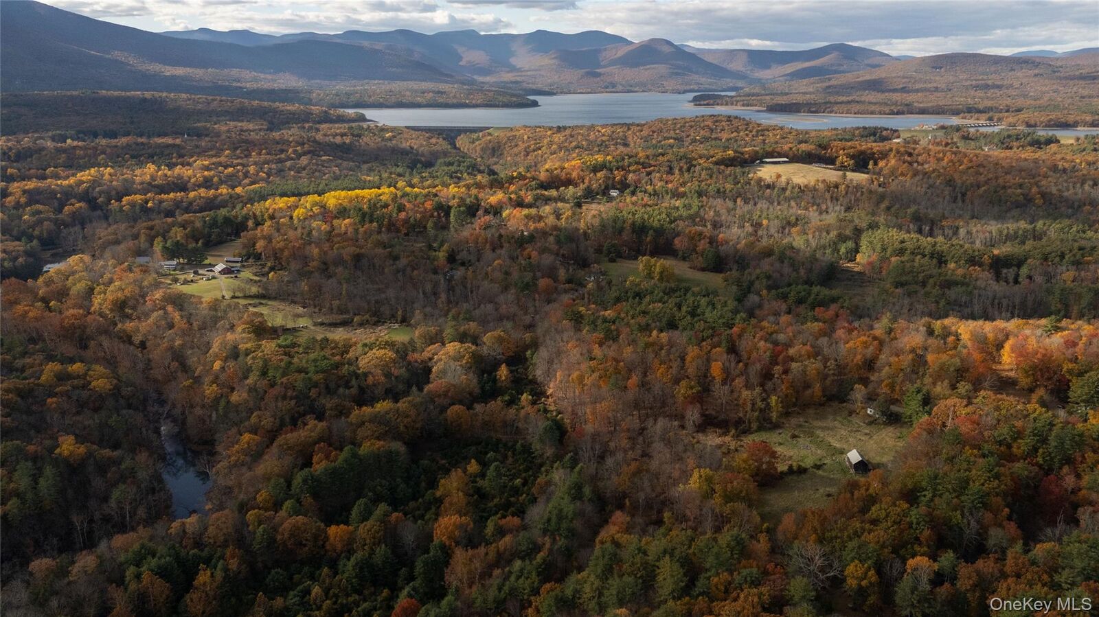 Property Photo:  363 Beaverkill Road  NY 12461 