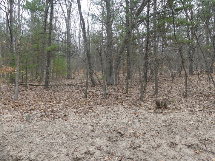Property Photo:  V/L W Buchanan Road  MI 49455 