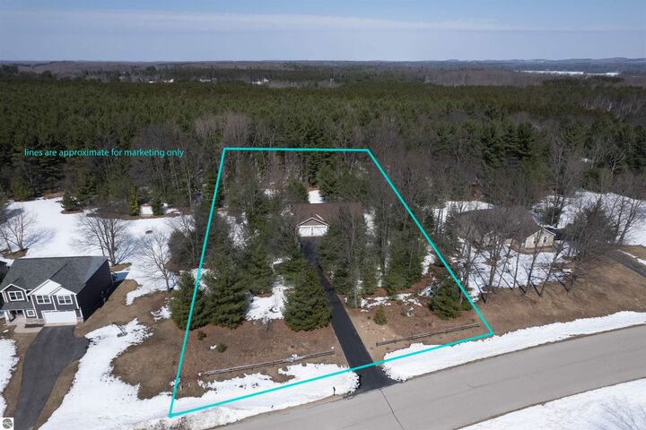 Property Photo: 9736 Westwood Drive 3 MI 49685