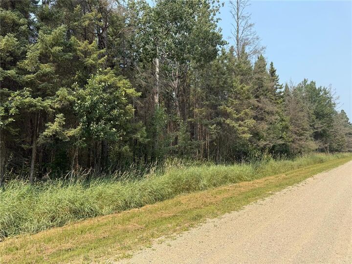 Property Photo:  Tbd 40 Acres Sunflower  MN 56650 