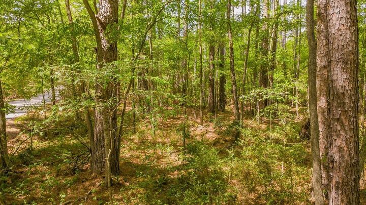 Property Photo:  1723 Pineview Lane  TX 75771 