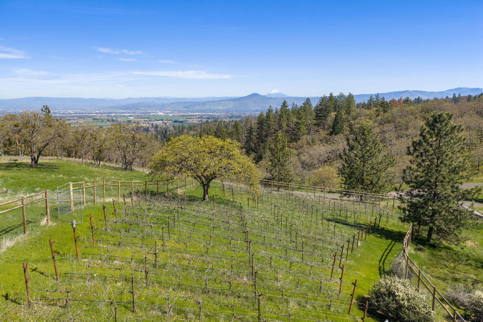 Property Photo:  84 Placer Hill Drive  OR 97530 