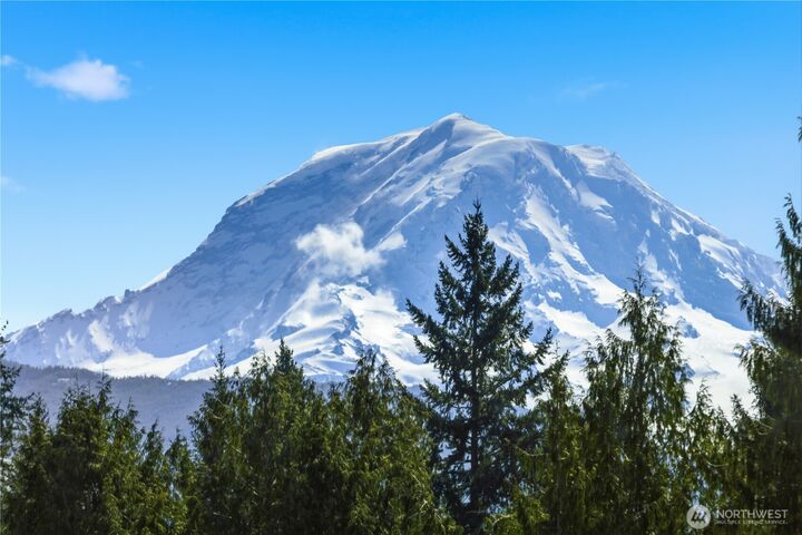 Property Photo:  14608  Ap Tubbs Road E  WA 98321 