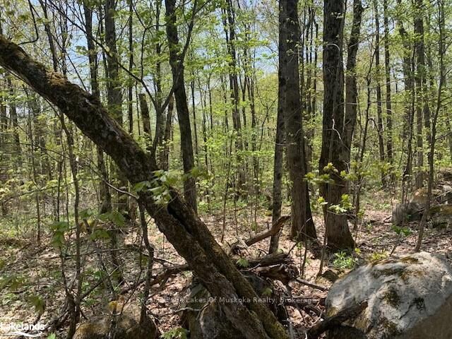 Property Photo: 2376 South Horn Lake Road ON P0A 1L0