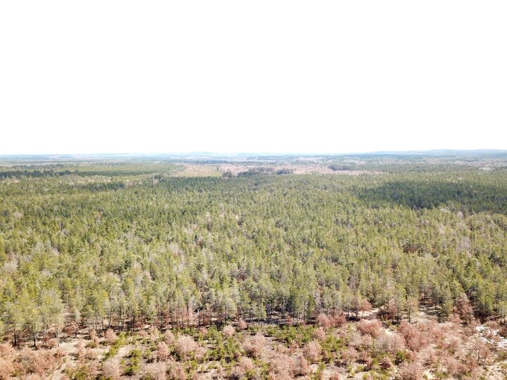 Property Photo:  10456 Austin Road  MI 48656 