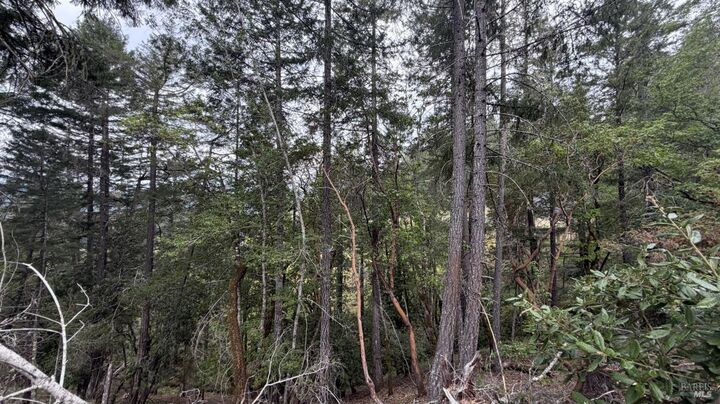 Property Photo:  25648 Madrone Drive  CA 95490 